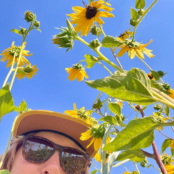 cjlovesplants